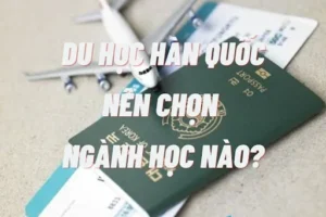 Du học Hàn Quốc thời gian đi mất mấy năm? Bao lâu thì ra trường