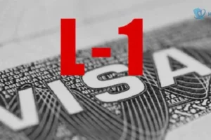 Visa L1 Mỹ là gì? Thủ tục, điều kiện và lệ phí thông tin bạn cần biết