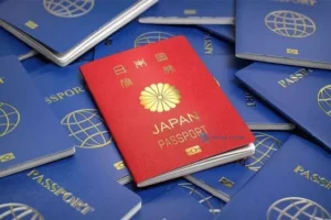 Visa thương mại Nhật Bản tìm hiểu là gì? Thủ tục xin visa từ A đến Z